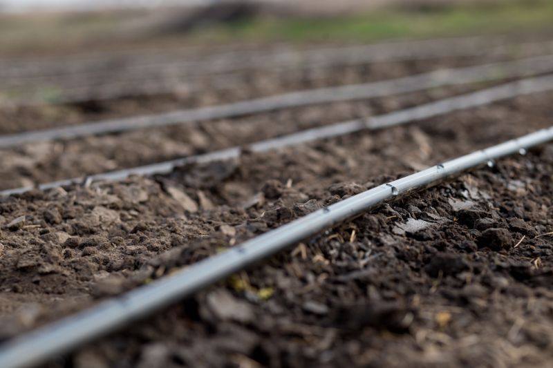 Crop Irrigation Installation in Ventura County, CA