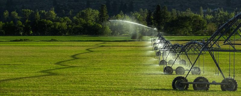 Plant Irrigation Installation in Ventura County, CA