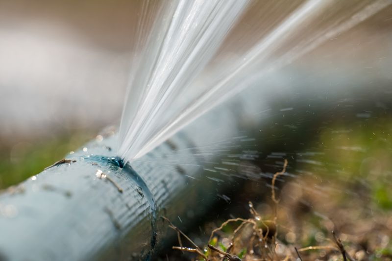 Sprinkler Head Repair in Honolulu, HI