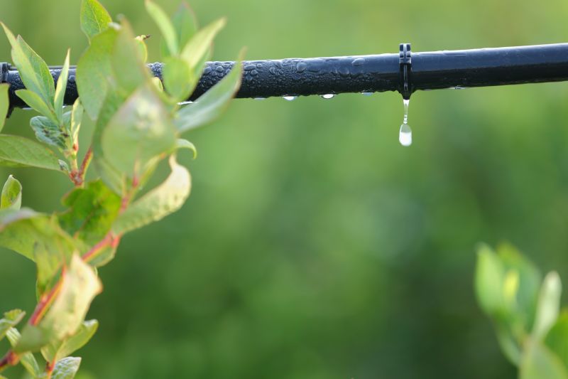 Underground Irrigation Service in Ventura County, CA