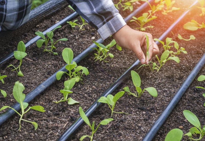 Underground Irrigation Service in Ventura County, CA